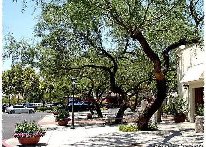 Homewood St. Philip's Plaza Hotel Tucson